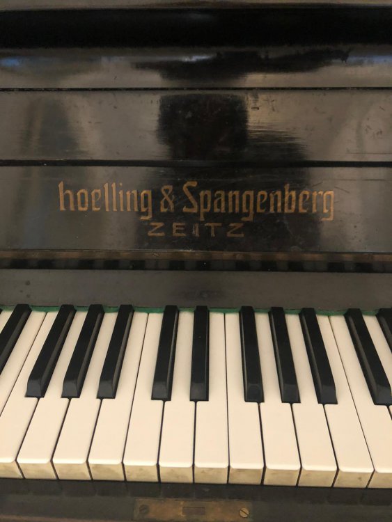 hoelling & spangenberg4.jpeg